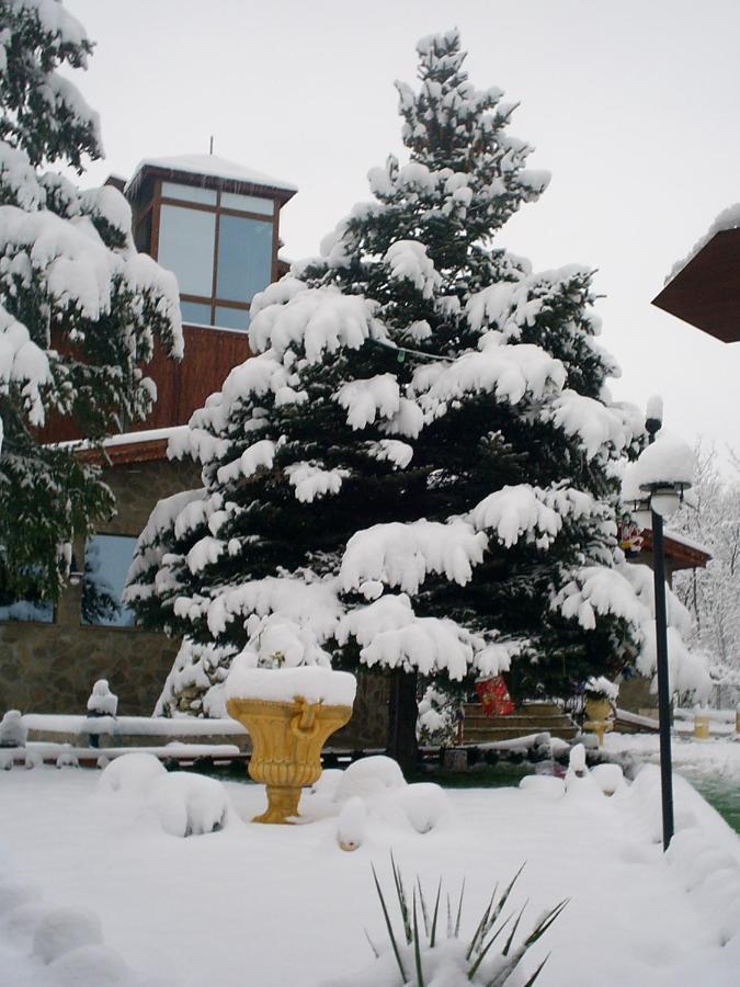 Хотел Галина Палас Srem Екстер'єр фото